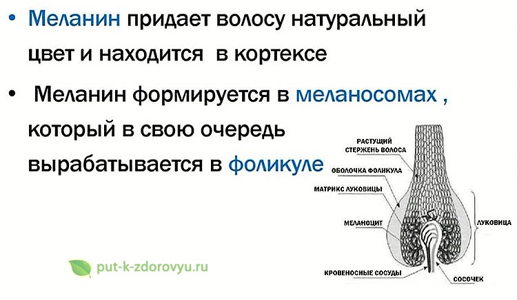 Как море и солнце влияют на волосы и чем их защитить