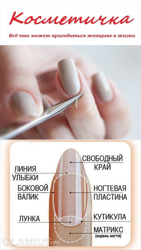 Как размягчить кутикулу в домашних условиях - домашние средства и как выбрать профессиональную косметику для размягчения | maritera.ru